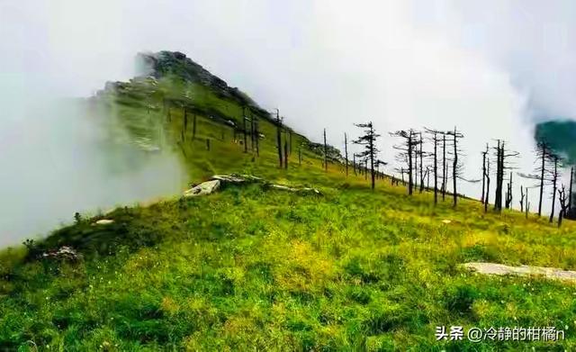 国家该不该开发“夺命”鳌太线？