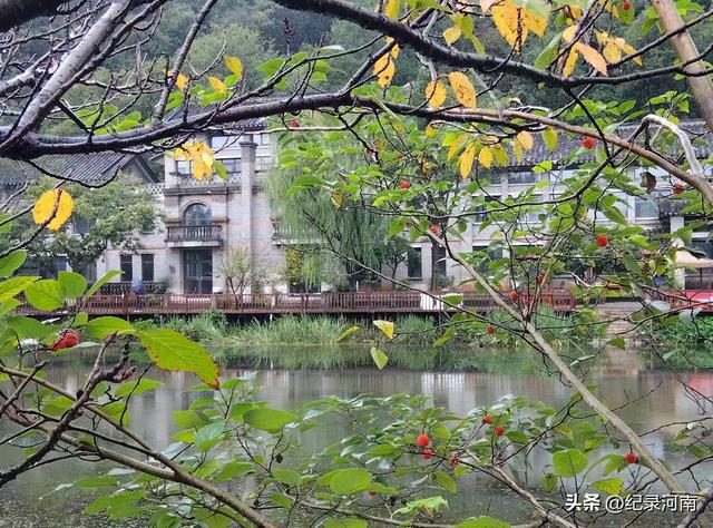 信阳市委书记致辞：以山水人文之韵，奏响城市发展强音