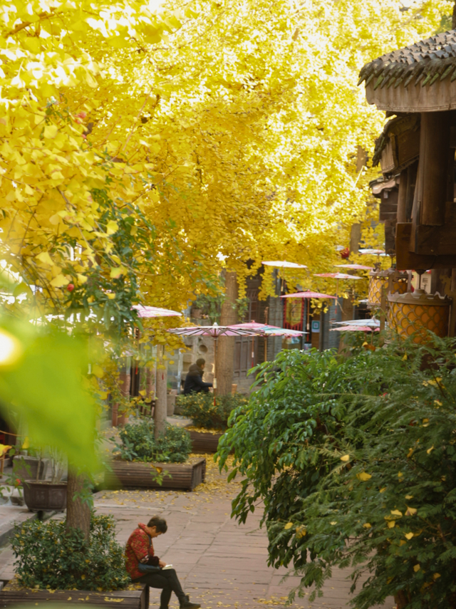 重庆私藏的千年古城，初冬银杏金黄绝美！