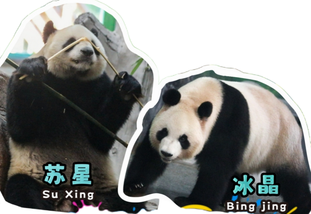 感恩有您，师恩如光 | 临沂景区教师节专属福利来啦