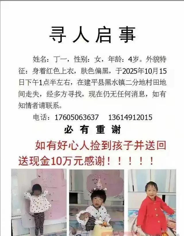 辽宁女童失踪续！自曝走失原因，飞手身份被曝	，原是抓野猪的！