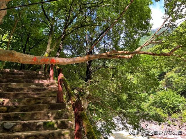 身体和心灵总有一个在路上 | 这个秋天，一起观赏黑河的山川湖海