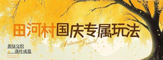 一眼千年！田河村153棵古银杏正“染金”，国庆去这就对了