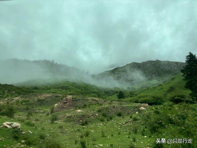 2025年甘南自驾游（六）：最美江南独库路，若诗若画美花湖
