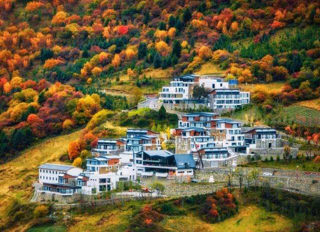 秋天去哪？我一般听到“阿坝”就睁眼！
