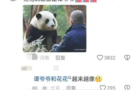 大熊猫对饲养员有感情吗？评论区暖心图片
