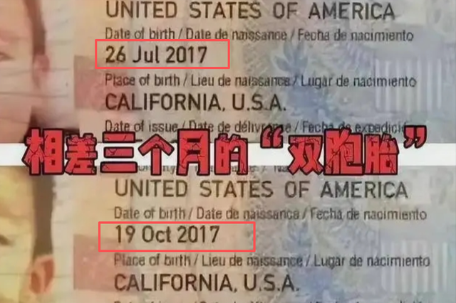 陪玩陪睡只是冰山一角，代孕、陪客旅行、男星爆潜规则	，个个荒唐