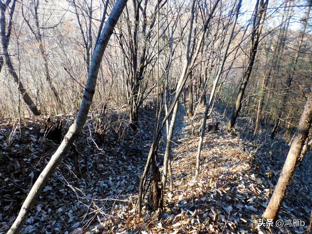 明长城本溪段全程探寻