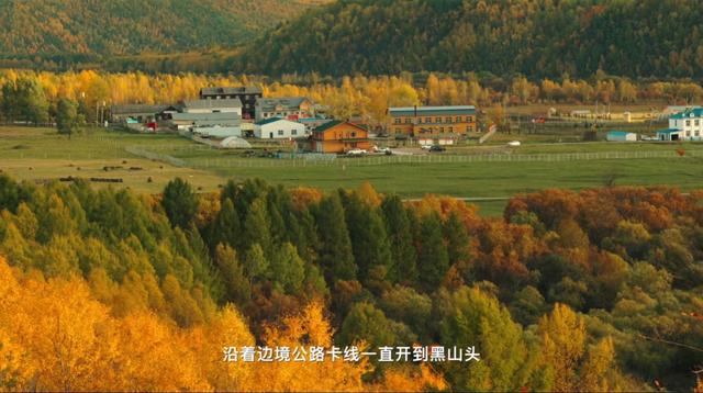 美到窒息！大兴安岭的秋，治愈一切不开心！再不来等一年