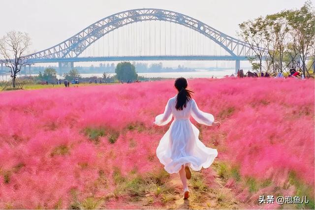 襄阳什么多?公园!公园!公园!