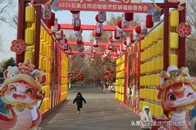 动物总动员 欢乐过大年图片