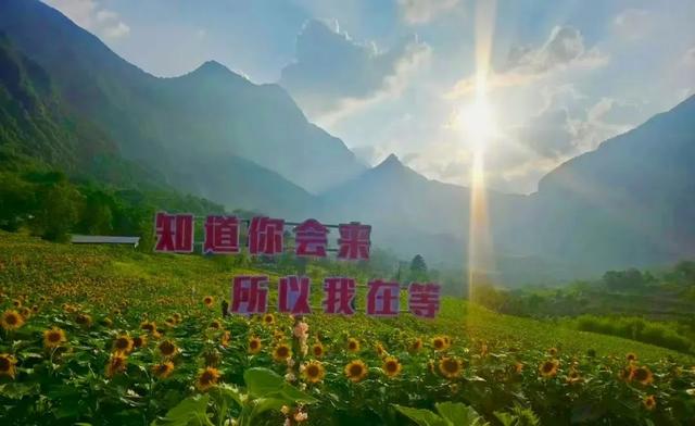 “多巴胺”风吹到了两当！