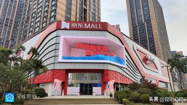 超详细攻略！在昆明官渡，与鸥共舞，六种玩法开启冬日漫游！