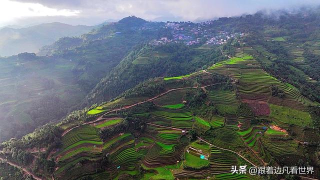 《西双版纳 澜沧行》左都佤山梯田云雾：天地间的水墨长卷