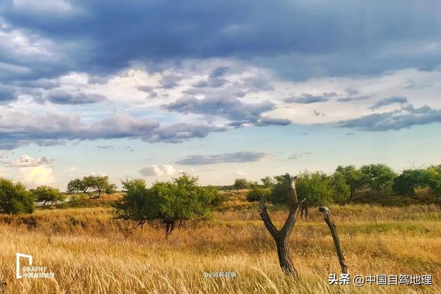 承包最治愈的冬日秘境！收下这份超详细赏玩攻略，12月出发正好