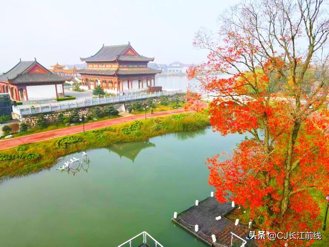 河南淮滨：初冬文化园更艳丽