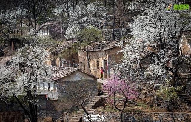 强烈建议3-5月走起的9条自驾路线，春天花开成海，沿途美成天堂！