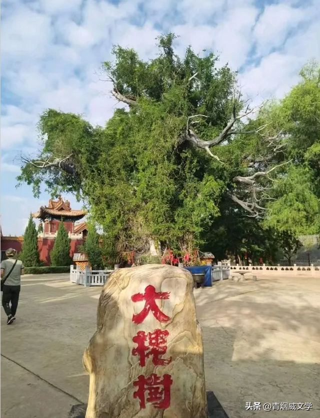 晋游记一一晋陕大峡谷之旅