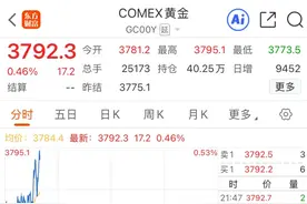 金价续刷新高！贵金属板块大涨，中金黄金盘中股价突破历史新高图片