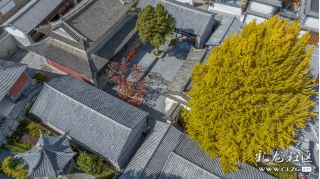 寻美云南（四）大理凤羽，诗意旅居