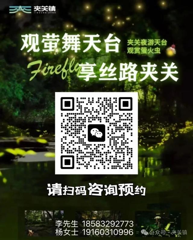 三伏天叛逆计划：夜逃夹关镇，萤火专列发车，江风免费续杯！