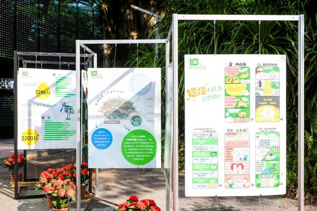 仅限2天！福田红树林公园邀您共赴！