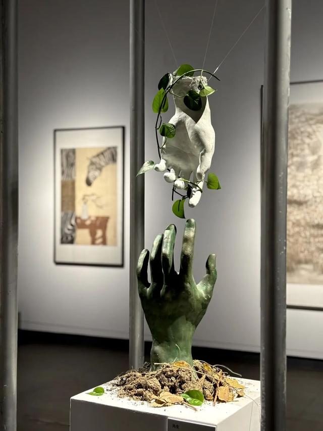 11 月乌鲁木齐活动日历：每一天都有新期待