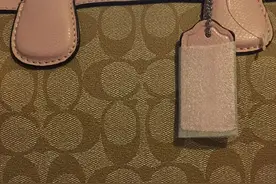 被遗忘的COACH包：时间带来的“惊喜”图片