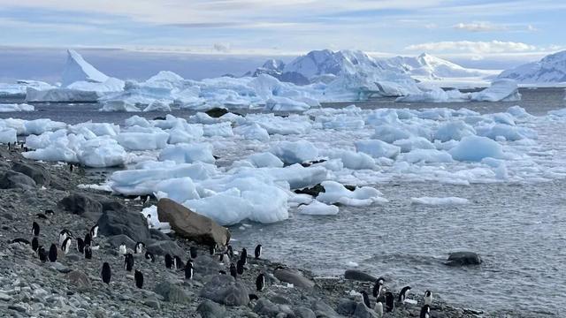 一生一次，2027年出发！41天南极半岛包船登陆，南美4国狂野自驾