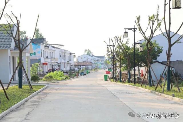 沙原渔村：好风景与好生活共“生长”