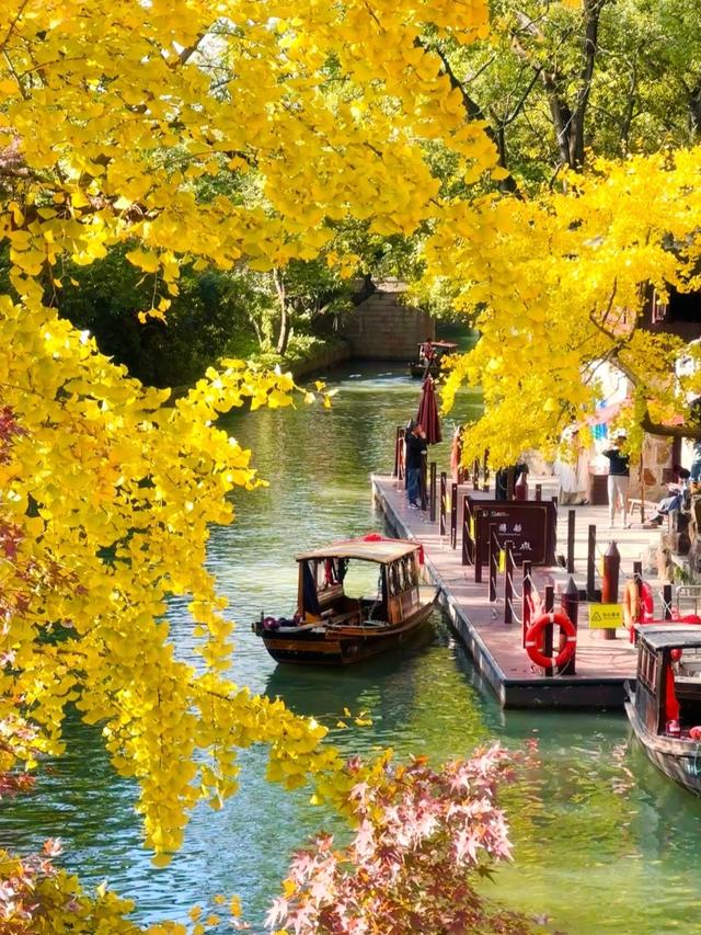 江苏7个AAAAA级景区大合集，去过3个算合格，你都去过几个？