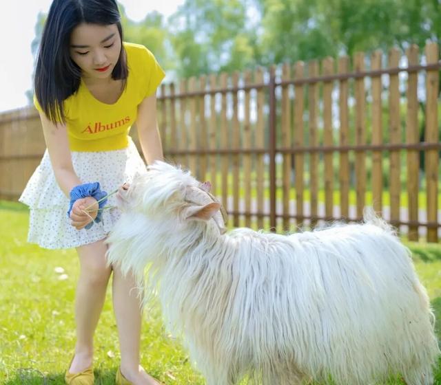 任何人错过秋天的高淳，我都会伤心的