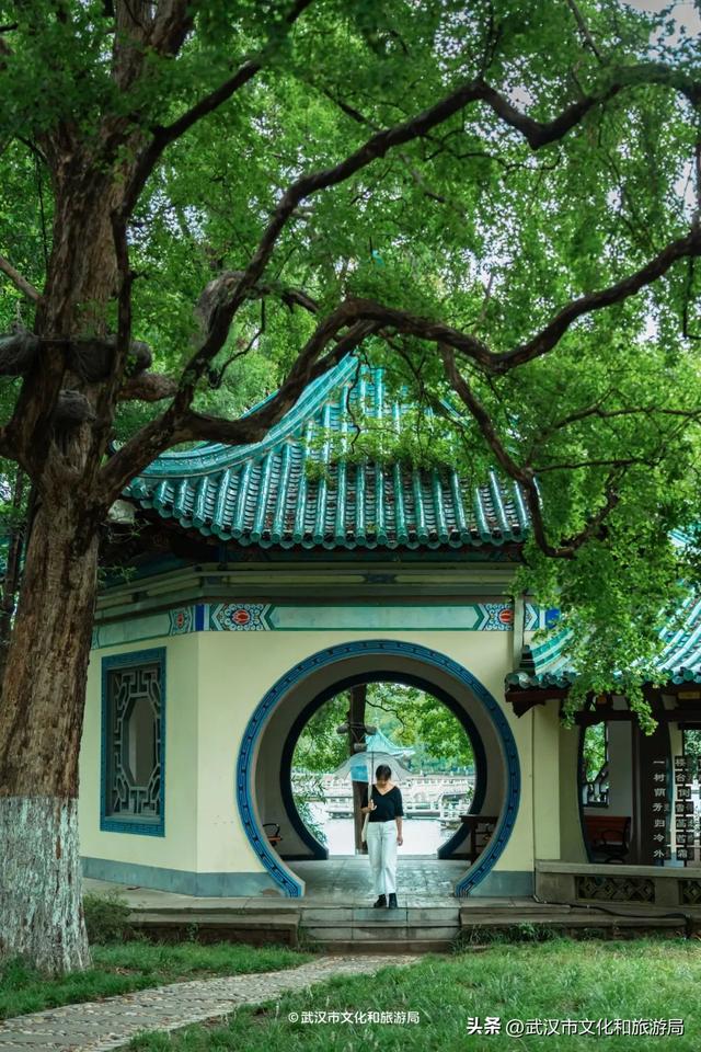 狂降10℃，武汉最凉快的一周，这样玩