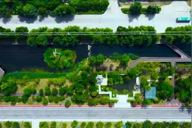 绿意涌动夏日长 宿迁藏着160条“清凉绿荫路”图片