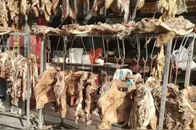年味初显！扬州咸货上市图片