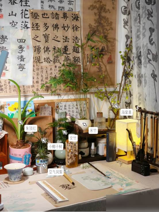 “阴花不能进阳宅”，家里若有这5种花，请赶紧“搬出去”！