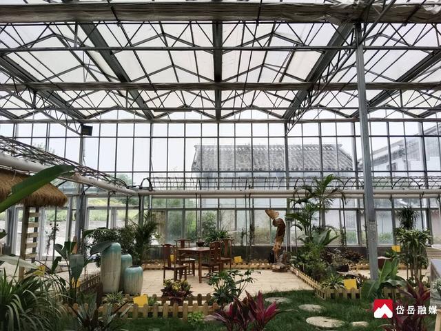 岳麓茶语山居：特色文旅 多彩体验