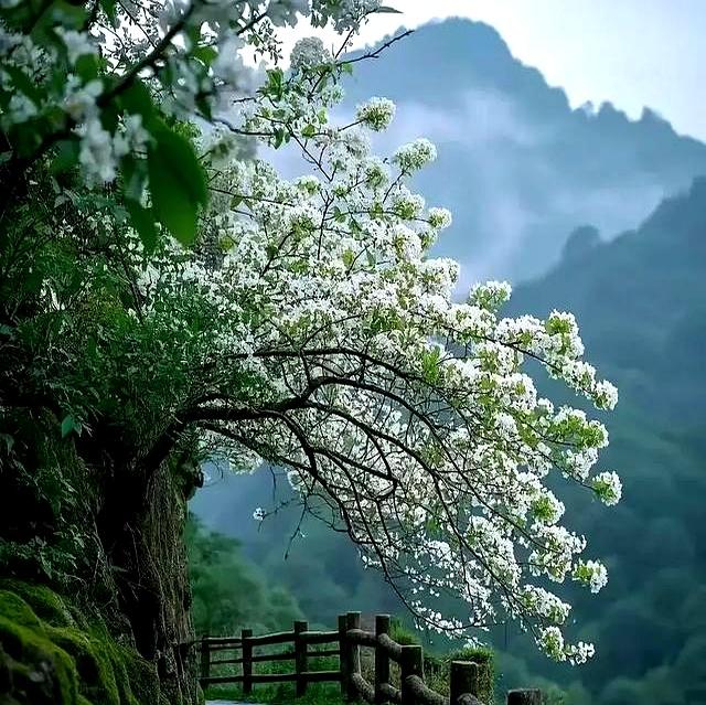 “钱不借二	，礼不随三，情不给四”：七十岁后，你就明白了