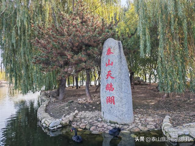 泰安：城西有一个儿童乐园，曾是热门亲子游目的地，现在免费游览