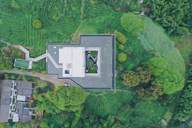 在竹上花楸，住进茶山竹海~