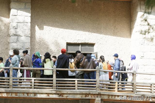 9月15日河西走廊之旅第四站:敦煌 莫高窟的“坑”我替你踩了
