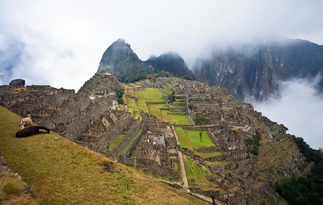 回国了我才敢说：委内瑞拉，是我去过的所有国家中，最被看轻的！