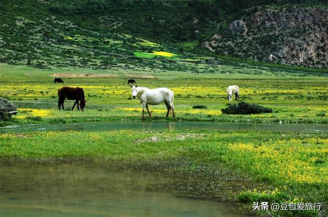 藏东秘境昌都漫游指南——环线邂逅雪山冰川古寺