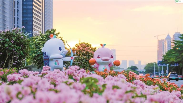 走！今天出发莲花山！拍“爆”20万㎡花海