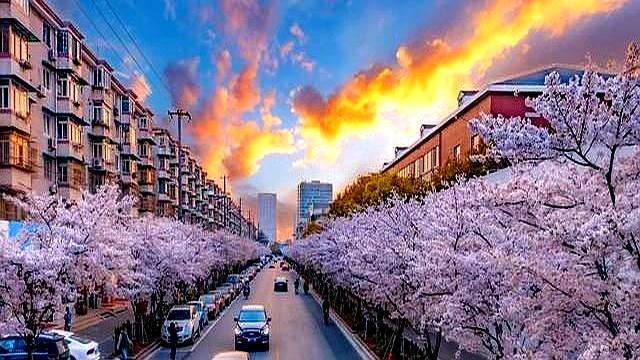 北京上海都懵了，天津凭啥悄悄火出圈？