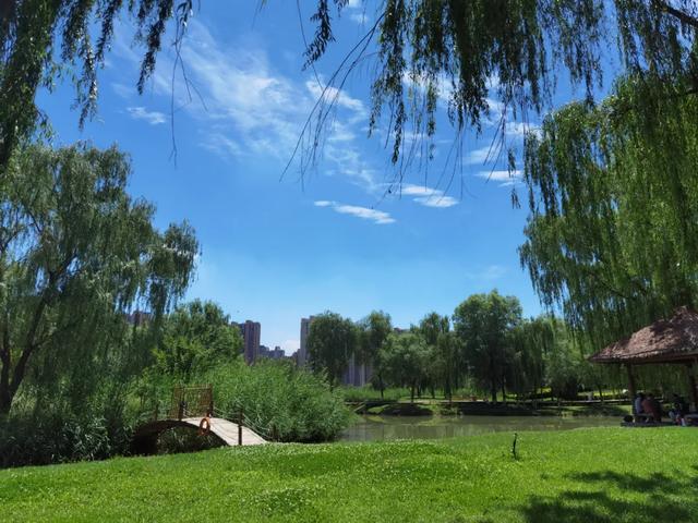 夏天自带“空调模式”！快来兰州享受清凉夏日吧