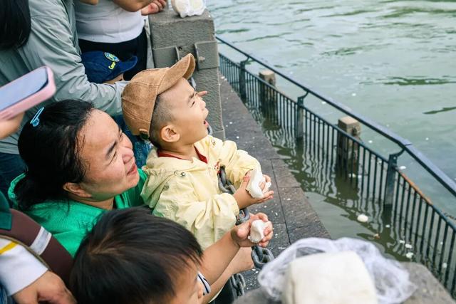 宜宾冠英古街秋假遛娃指南：非遗扎染、燃面研学、江边喂鱼，一站式玩透！