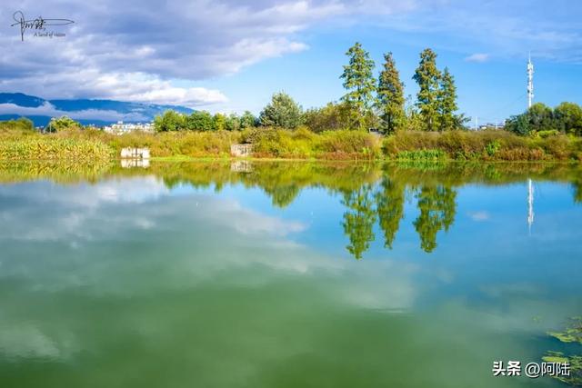 洱海边惊现四川人发明的绝招-过河钓,老哥自称已经玩了20多年