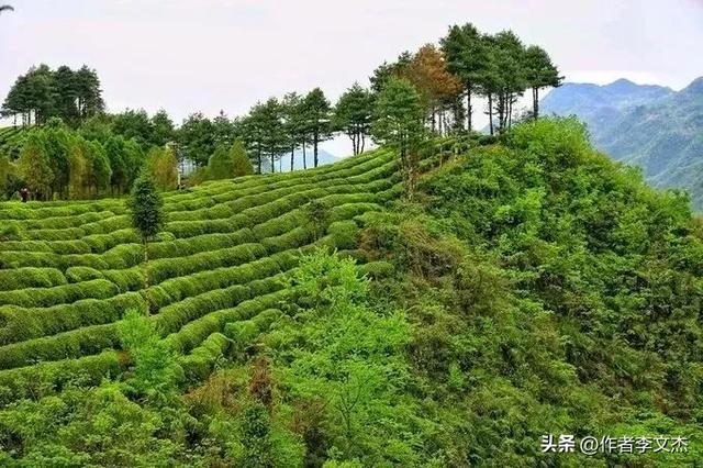 镇巴县的历史人文传说