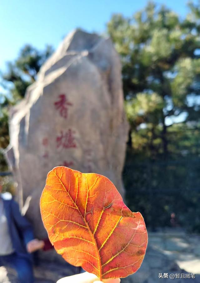 以我4次经历，带你打卡北京香山，北京的朋友请补充